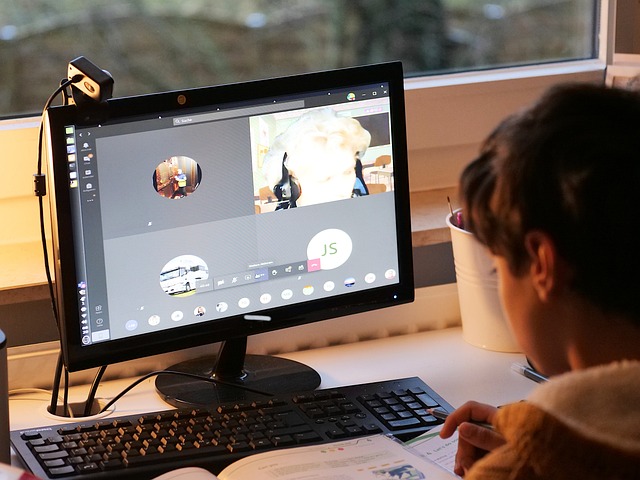 Technologisch avontuur: verkenning van muizen, toetsenborden, printers, scanners, webcams, microfoons, externe harde schijven en usb-sticks